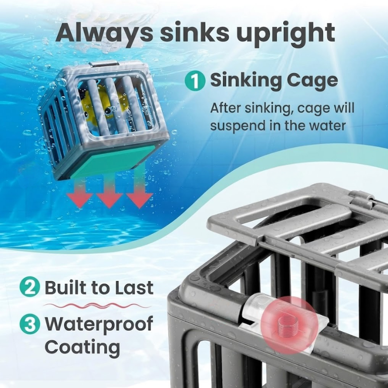 Toddla™ Pool Diving Bath Toy Sets